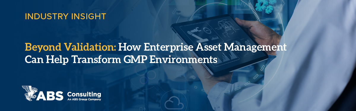 IMB Maximo Image IMB Maximo Image